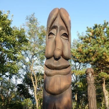 Beelden van een penis