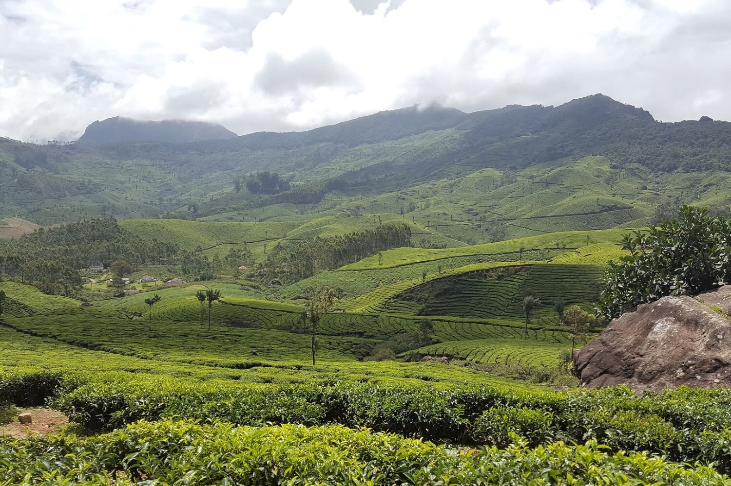 De reisgids van Munnar, India