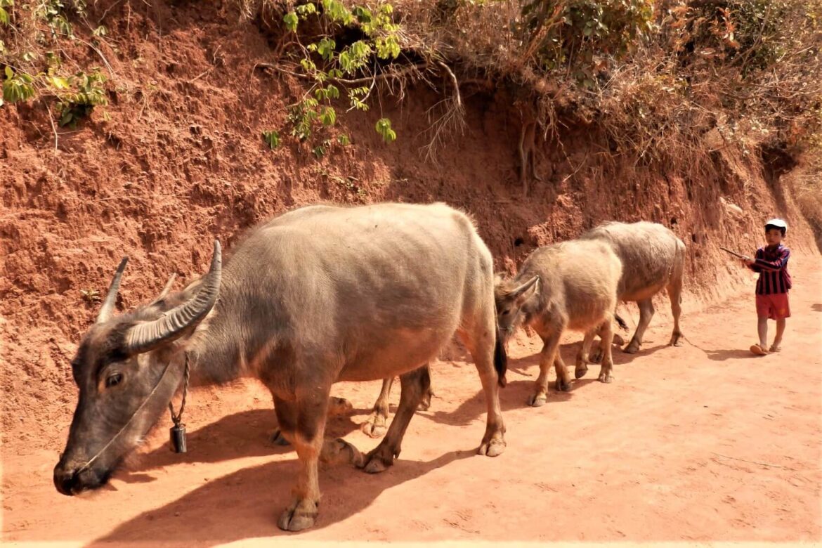 Historische reisgids van Kalaw, Myanmar
