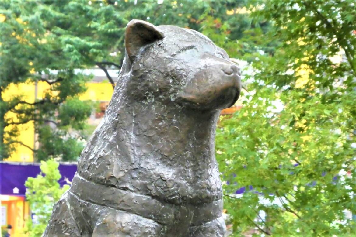 Standbeeld van de trouwste hond ter wereld, Hachiko