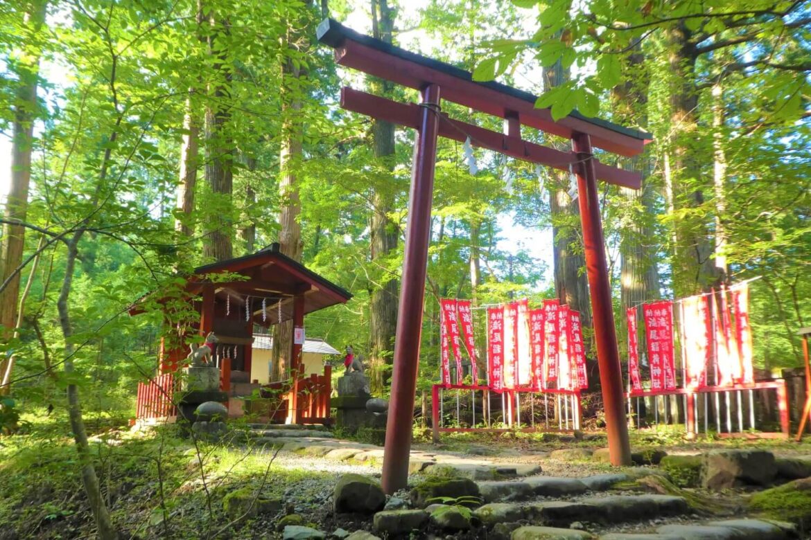 De tempels van Nikko National Park, Japan