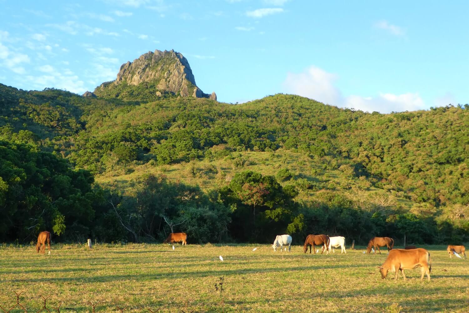 Ontdek de prachtige natuur van Kenting National Park in Taiwan