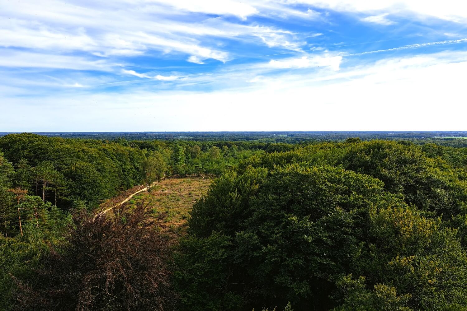 Uitzicht op de Utrechtse Heuvelrug vanaf De Kaap
