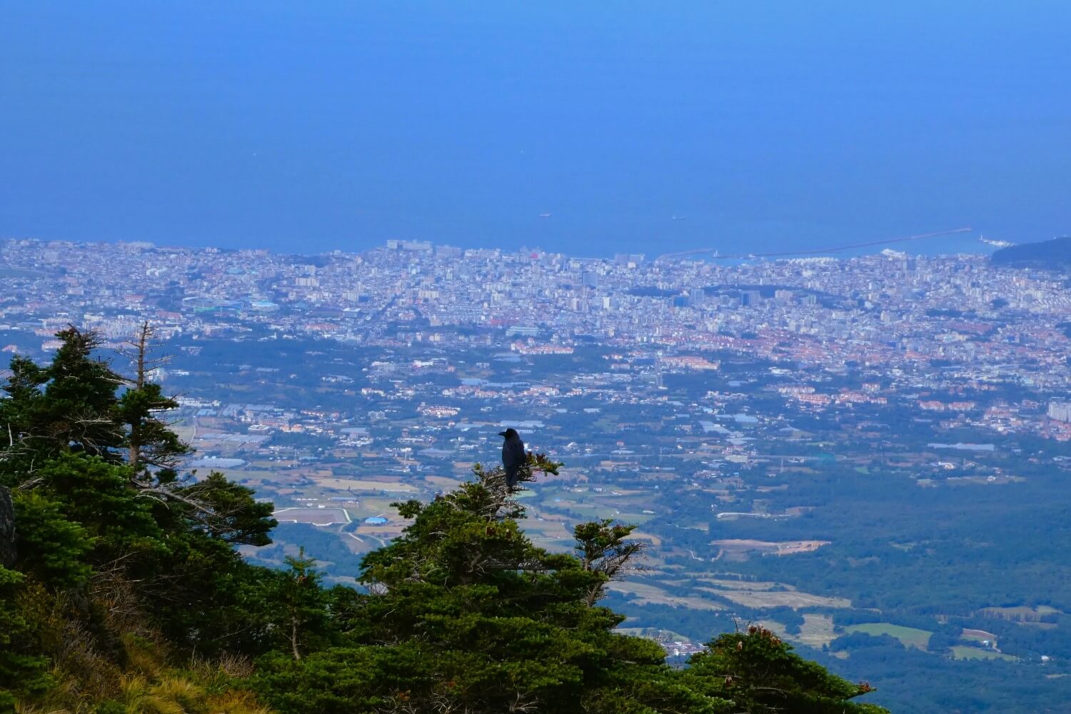 Jeju City vanaf de berg Halla