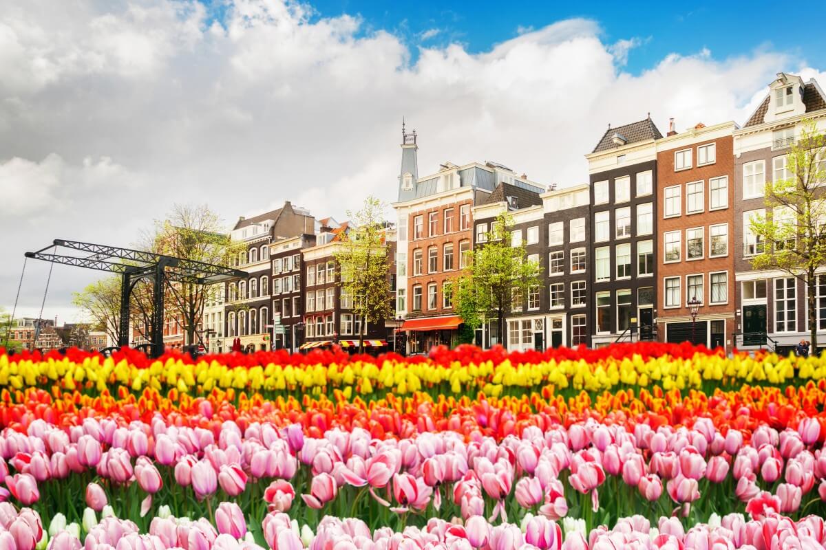 Grachten en bloemen in Amsterdam